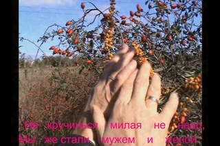 ОБЛЕПИХА СЛОВА И. Денисенков и В. Кригер музыка и исполнение В. Кригер
