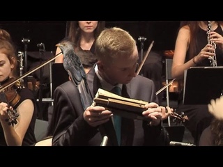 Johann Strauss II - Im Krapfenwald’l Polka, Op. 336