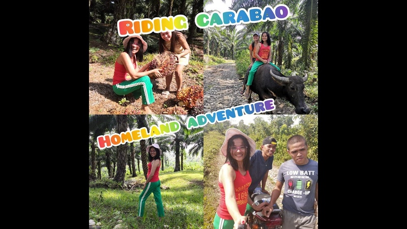 FARM OF PALM OIL + RIDING CARABAO, JOSIE