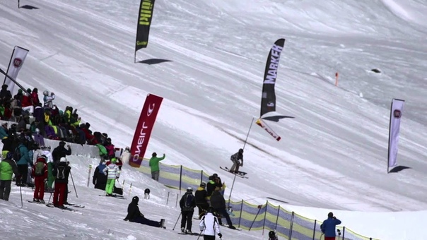 Nine Queens 2013, Contest Day