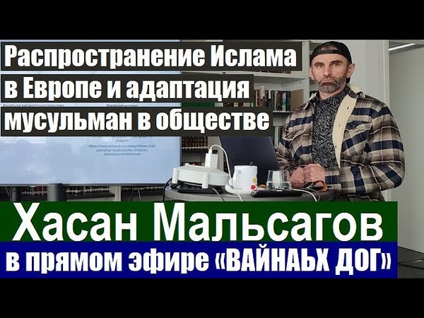 Хасан Мальсагов в прямом эфире ВАЙНАЬХ