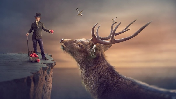 Big Deer Surreal Photoshop manipulation