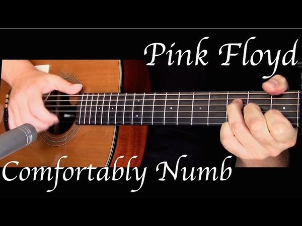 Kelly Valleau Comfortably Numb ( Pink Floyd) Fingerstyle