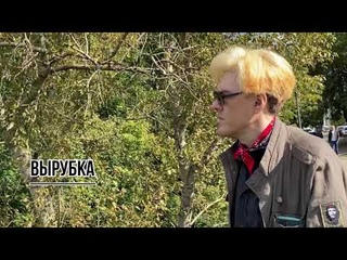 Почаинский овраг: уничтожат прекрасные деревья