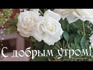 Прекрасного Вам настроения на весь день♥️ Доброе утро💖