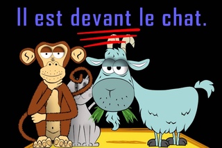 Où est le chat? - alain le lait - prépositions - French prepositions