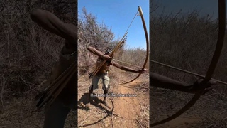 Hadzabe skilled bushman hunters