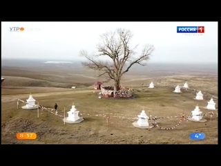 Поддержим одинокий тополь Калмыкии