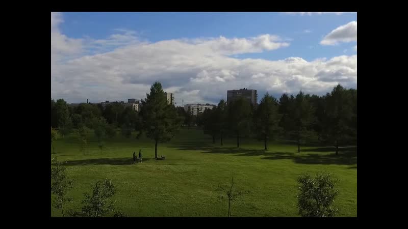 Полюстровский парк, транс полет