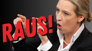 Alice schmeißt freche Antifa raus! Geh nach Hause zu Mama! 🤣 #AliceWeidel #AfD