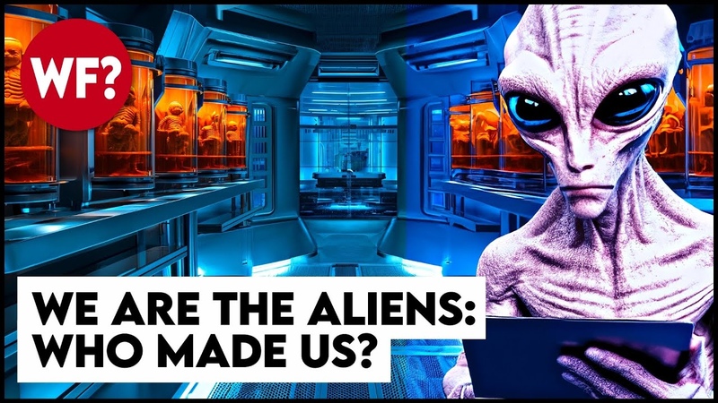 We Are the Aliens, Lifes Interstellar Journey to Earth:
