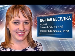 “Дачная беседка“. Ранний урожай огурцов. (эфир от )