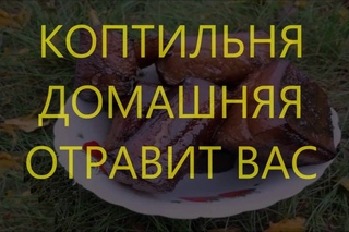 Коптильня домашняя убивает / smokehouse will kill your family / smokehouse is harmful
