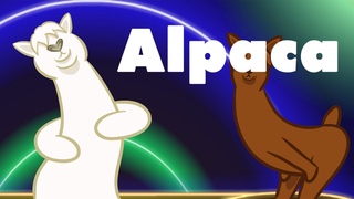 Alpaca : animated music video : MrWeebl