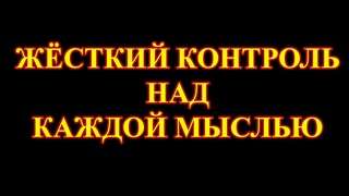 Осознанность, иммунная система, стрессовые ситуации.