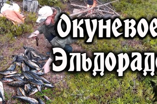Карелия рыбалка. Релакс видео.