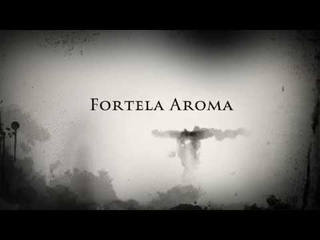 ШОК! Вся правда о сухом тумане Fortela Aroma!