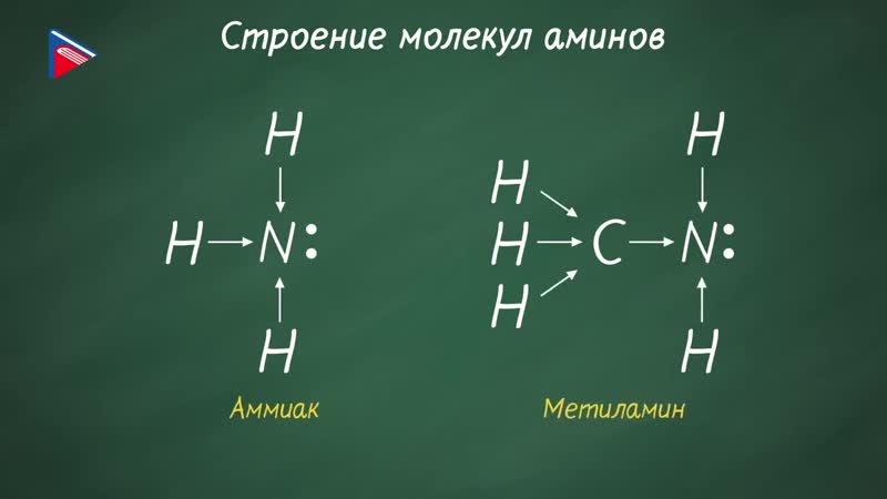 10 класс Химия Азотосодержащие органические соединения.