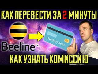 Как перевести деньги с Билайна на карту / С баланса Билайн на карту