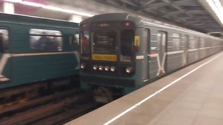 Классический 81-717.5/714.5 Номерной (ММЗ) на открытом участке ЗЛ