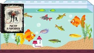 🐠 Аквариумы 2025 Январь - 5