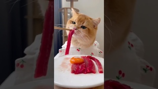 sioyen  makan dangin sapi dan pake telor