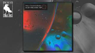 Aktive & Toronto Is Broken - Acid Organic VIP [YANA Music]