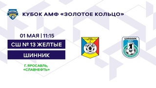 Кубок 2012 СШ № 13 желтые - Шинник