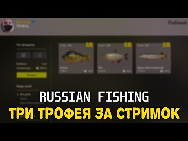 ТРИ РАЗНЫХ ТРОФЕЯ ЗА СТРИМ,