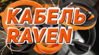 DL Audio Raven  силовые и акустические кабели