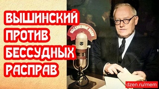 📕 ВЫШИНСКИЙ НЕ ПОДДЕРЖАЛ БЕССУДНЫЕ РАСПРАВЫ