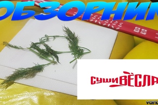 ДРОВА В РОЛЛЕ БАДЯЖЕНЫЙ СОЕВЫЙ ФК АВАНГАРД