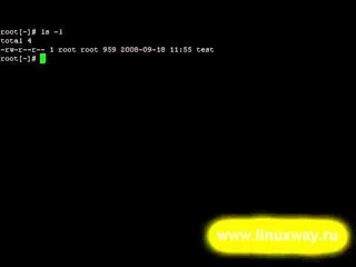 Уроки Linux - Переименование файлов и каталогов в Linux