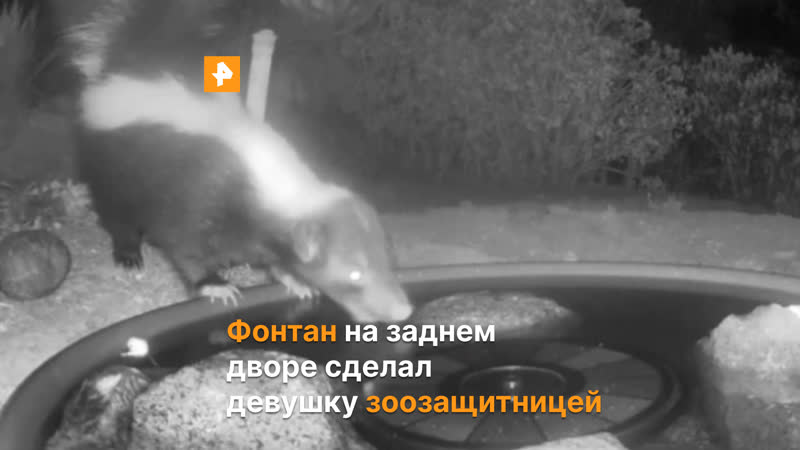 Фонтан на заднем дворе сделал девушку