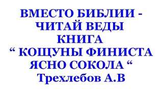 ВМЕСТО БИБЛИИ - ЧИТАЙ ВЕДЫ, КНИГА “ КОЩУНЫ ФИНИСТА ЯСНО СОКОЛА “ Трехлебов  г  #трехлебов