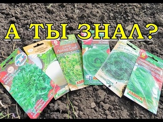 17 культур, которые можно посеять в АВГУСТЕ🌱🌱🌱