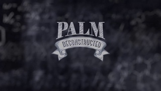 Copy of PALM DECONSTRUCTED Prof Dr Chandan Sen on Powerful Palm Tocotrienol