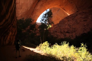 Andrew Bird - Echolocations: Canyon (Full Film)