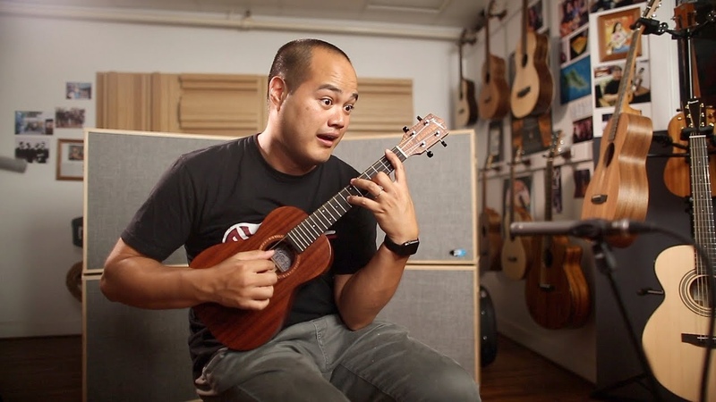 The Ukulele Review V. 19. 9 High G Low G Nylon Fluorocarbon