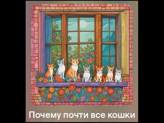 Почему почти все кошки (2 вариант) (Песня на стихи Александра Левонюка)