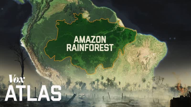 The destruction of the Amazon,