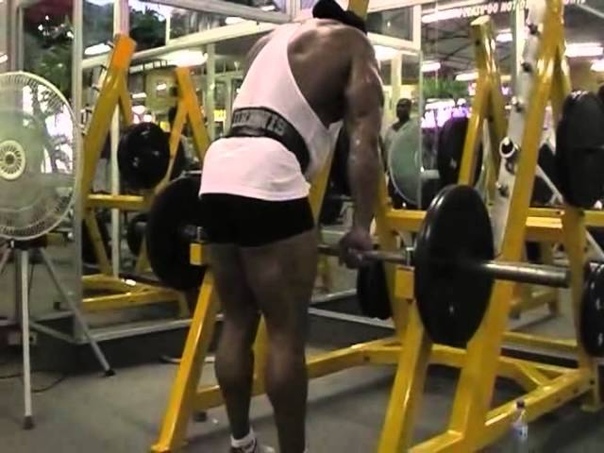 Body Building Dennis James Back to Basics