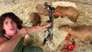 How to Hunt Capybara (Legally)