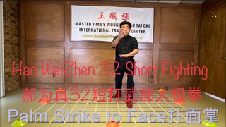 Tai Chi Wu Hao 32 DuanDa Short Fighting of Hao WeiZhen  Palm Strike to Face