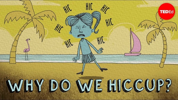 Why do we hiccup John