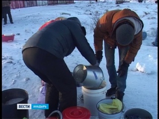 №505 ОНФ и собаки