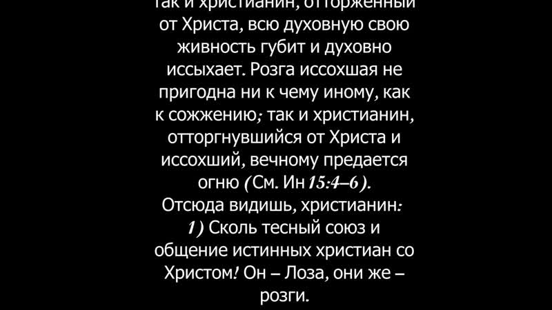 16. ЛОЗА И РОЗГИ. Свт. Тихон