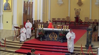 Св. Месса Вербного Воскресенья   в 11:45