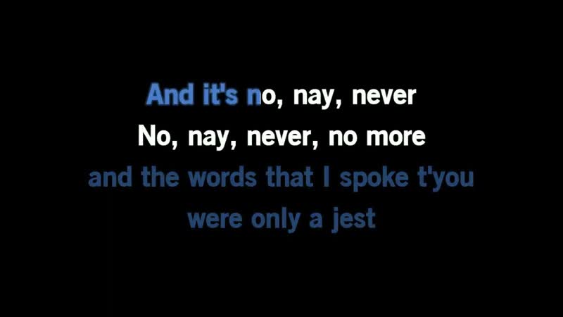 The Pogues The Wild Rover Karaoke