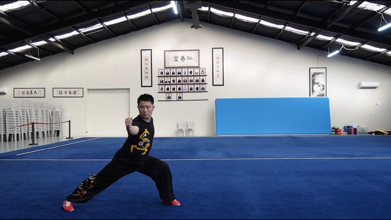 Elementary Southern Fist Nanquan Tutorial Part 3,